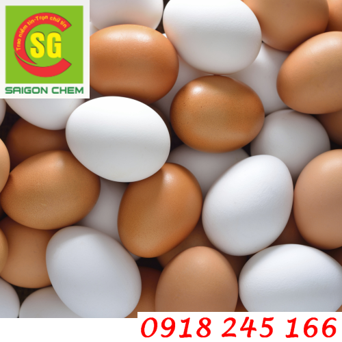 Bột Lòng Trắng Trứng/lòng đỏ trứng gà dùng trong thực phẩm